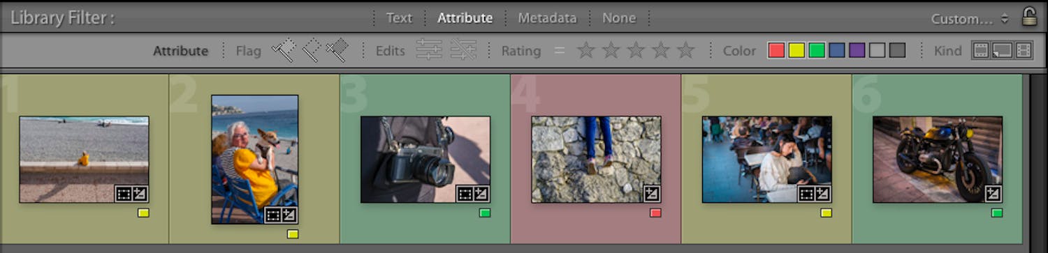 Library Filter i Lightroom